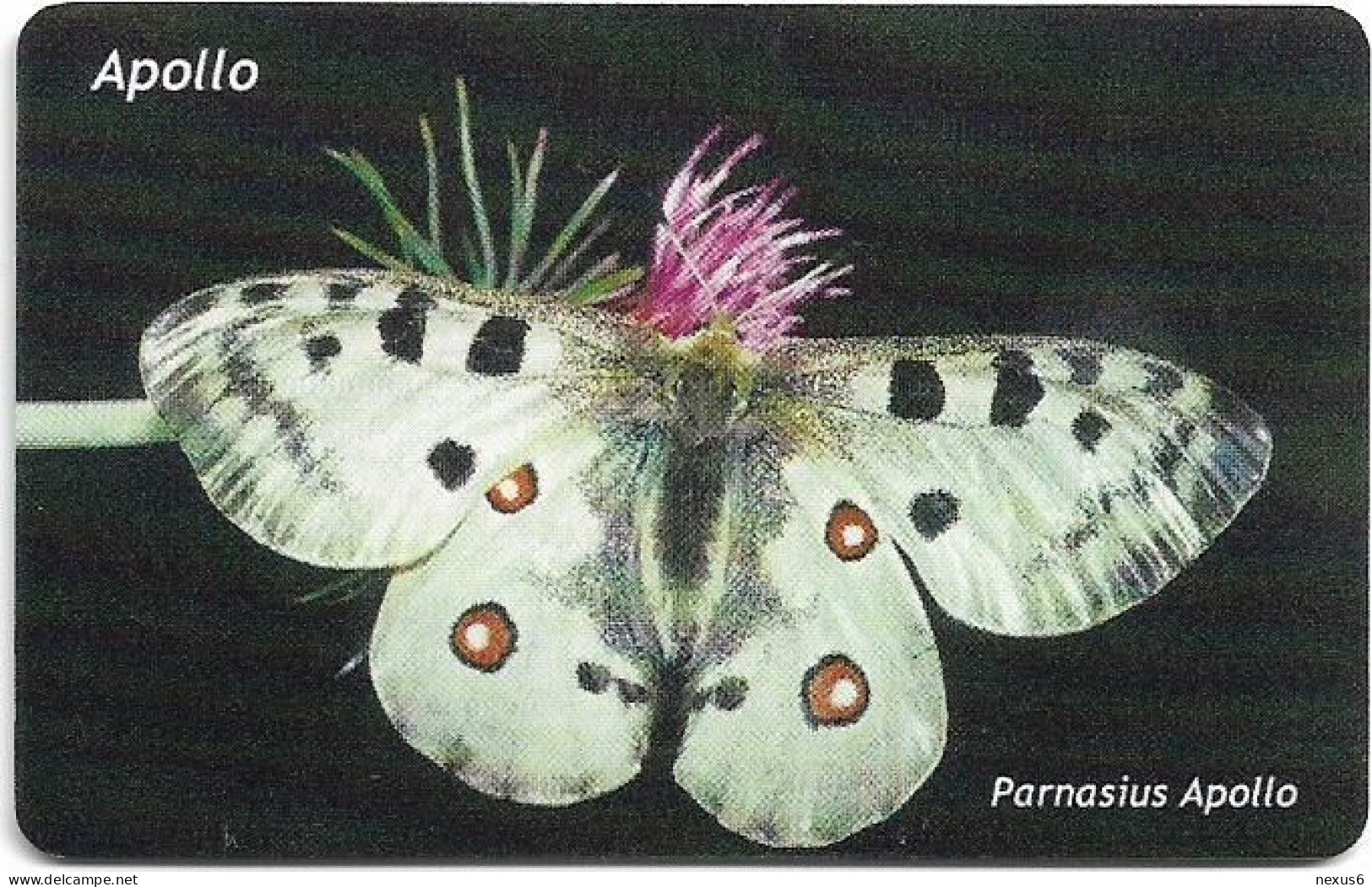 Andorra - STA - STA-0157 - Parnasius Apollo Butterfly, Gem5 Red, 05.2007, 6€, 15.000ex, Used - Andorre