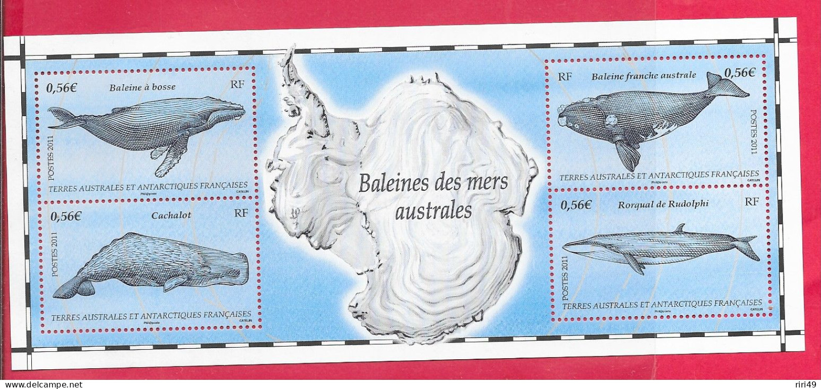 B-F Baleines Des Mers Australes 2011  Neuf VOIR SCANNE Terres Australes Et Antarctiques Françaises N°25 - Blokken & Velletjes