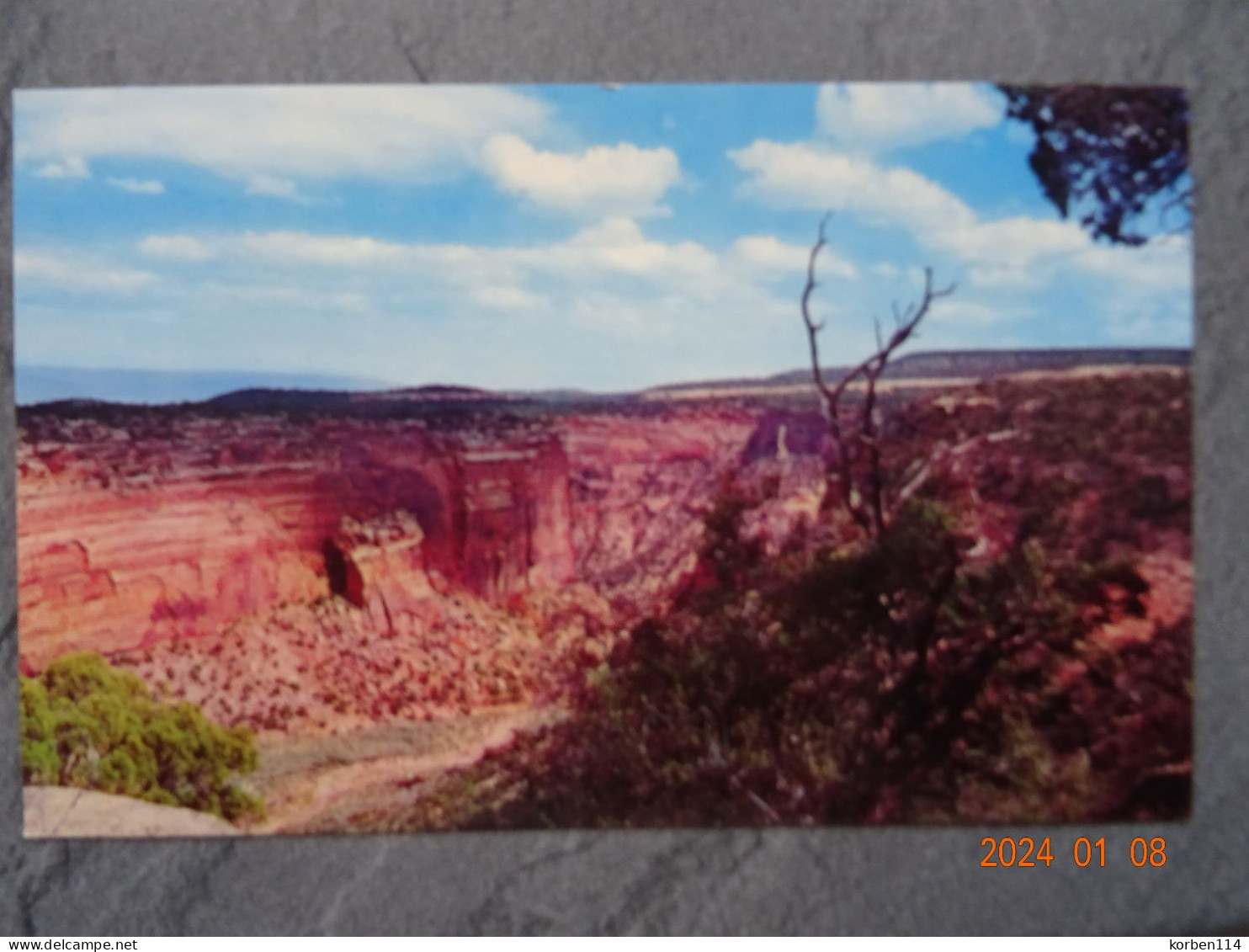 COLORADO NATIONAL MONUMENT  FALLEN ROCK - Sonstige & Ohne Zuordnung