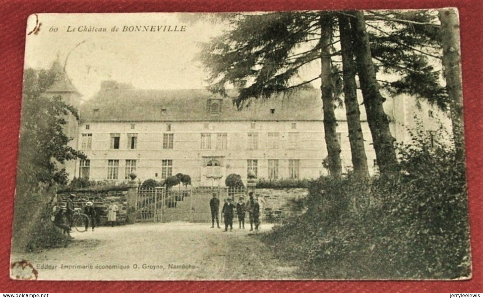 BONNEVILLE  -   Le Château   -  1906 - Andenne