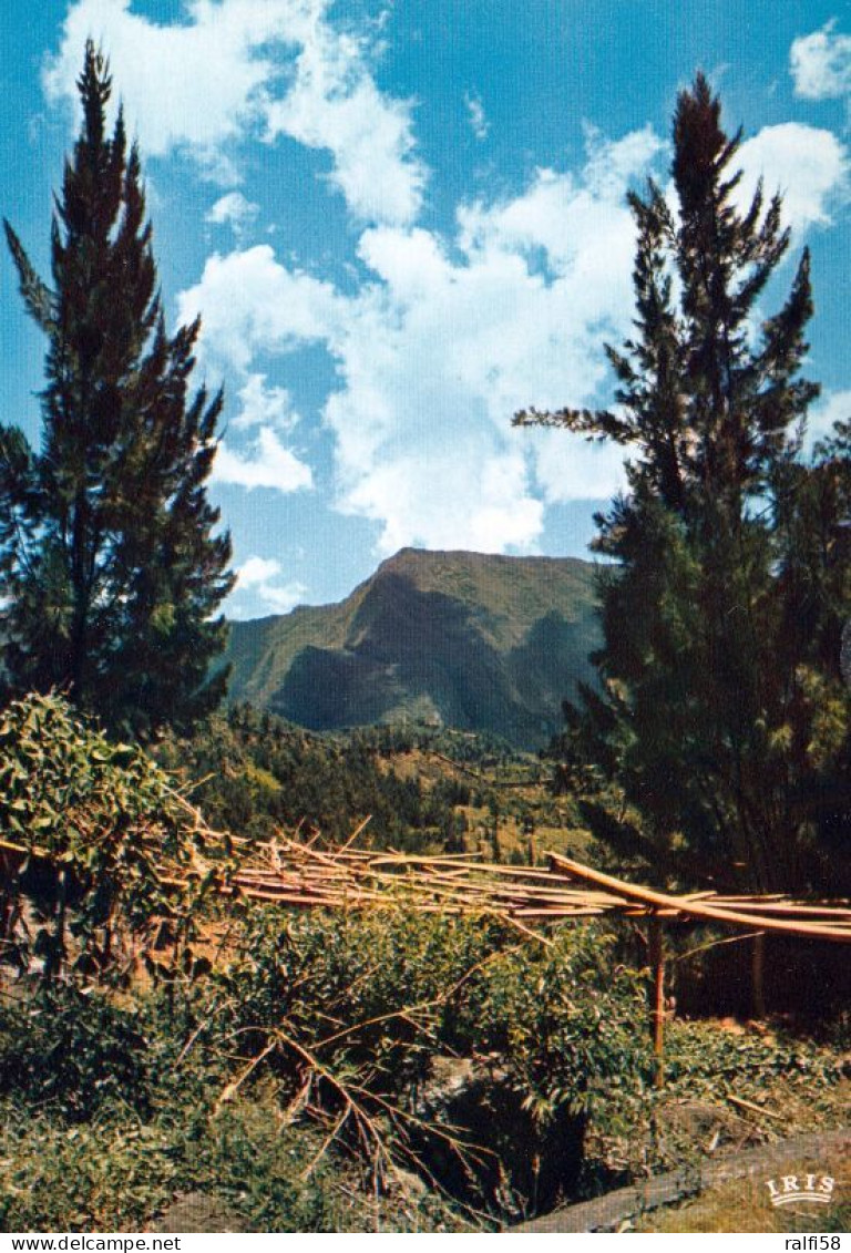 1 AK Insel Réunion * Auf Dem Weg Nach Salazie Im Zentrum Der Insel Réunion - Übersee-Departement Von Frankreich * - Riunione