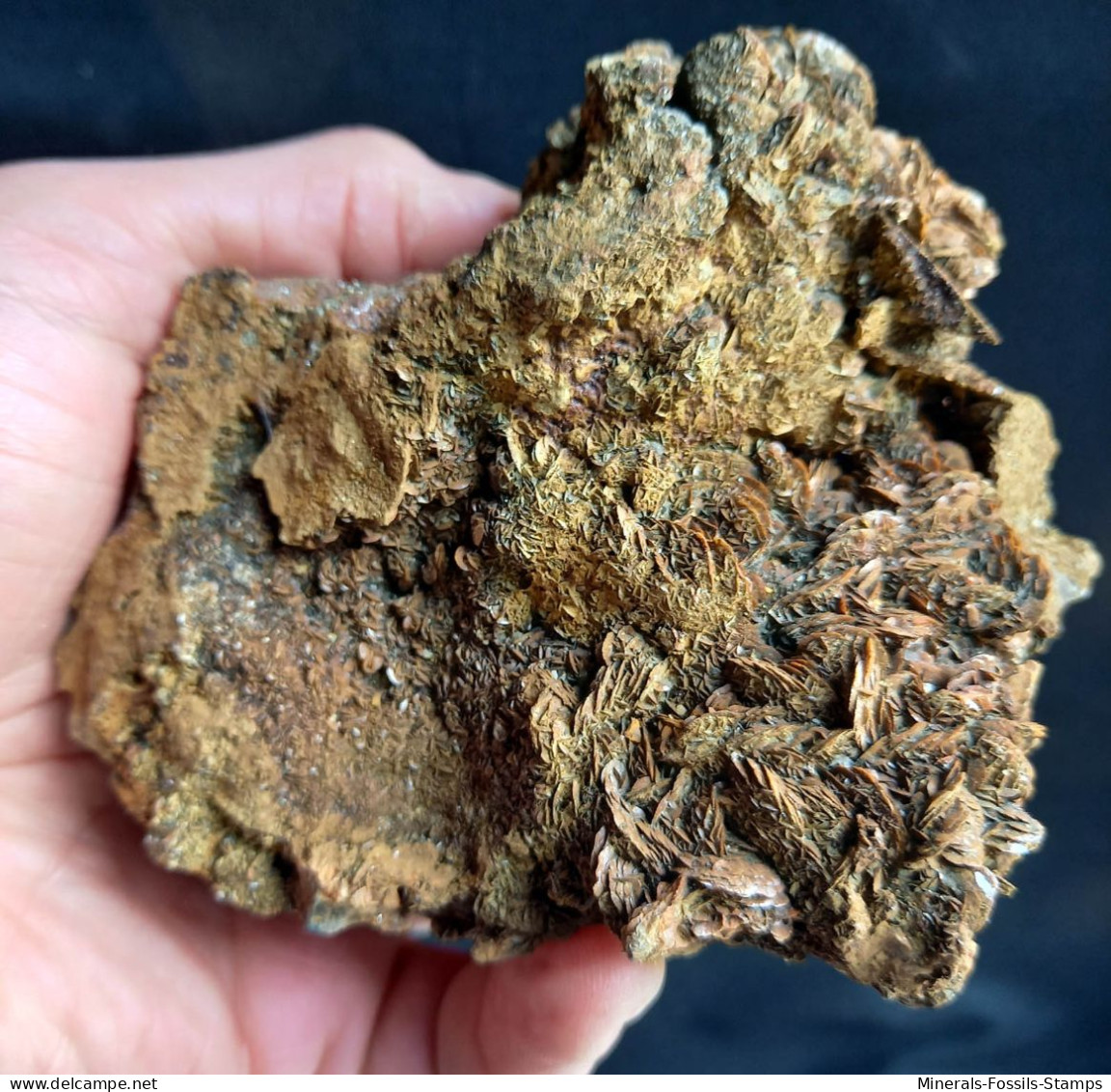 #BRA2.09 - Bella Grande SIDERITE Cristalli (Brosso Mine, Piemonte, Italia) - Minéraux