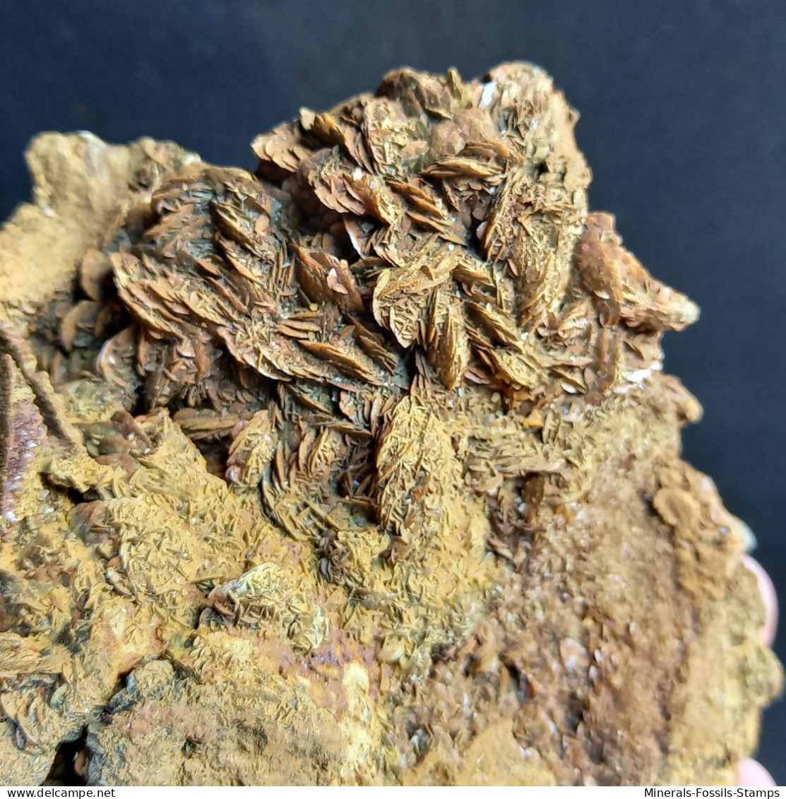 #BRA2.09 - Bella Grande SIDERITE cristalli (Brosso mine, Piemonte, Italia)