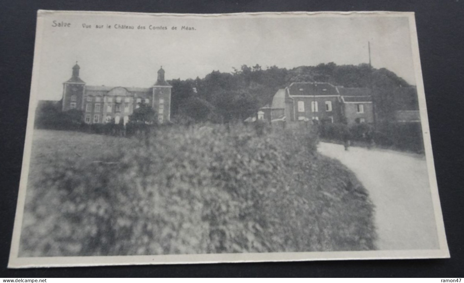 Saive - Vue Sur Le Château Des Comtes De Méan - Edit. A. Fraikin-Fassotte, Saive - Blégny