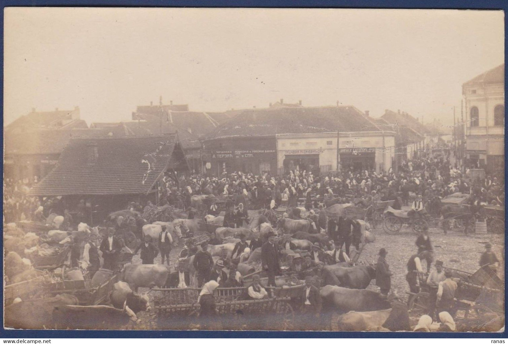 CPA Serbie Cacak Market Marché Carte Photo Voir Dos - Serbie