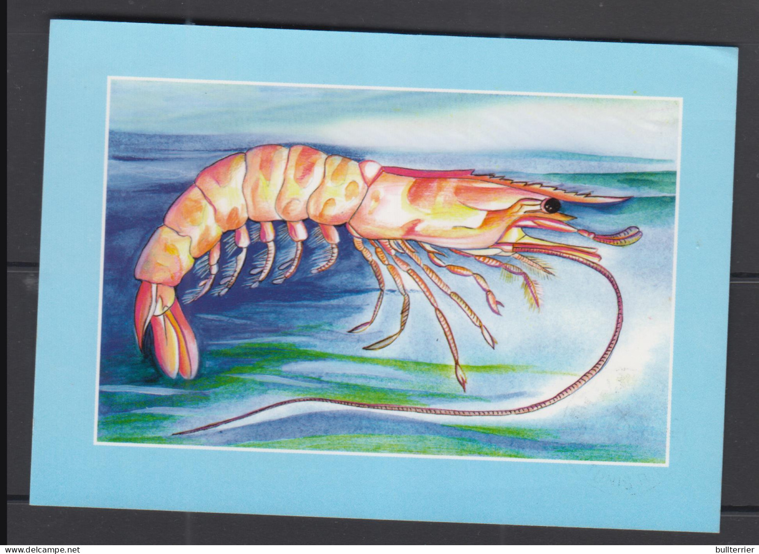 MARINE LIFE - TUNISIA - 1999 - POSTCARD TO  GERMANY WITH CRUSTACEANS SET OF 3 IMPERF - Schalentiere