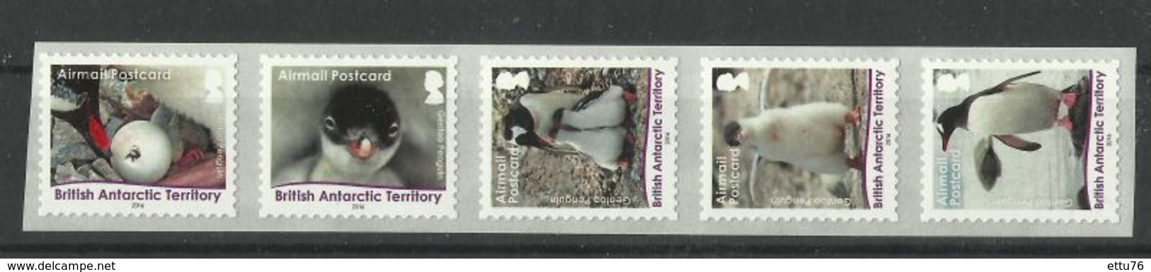 British Antarctic Territory  2016  Lifecycle Of Gentoo Penguins  Self Adhesive Strip  MNH - Andere & Zonder Classificatie