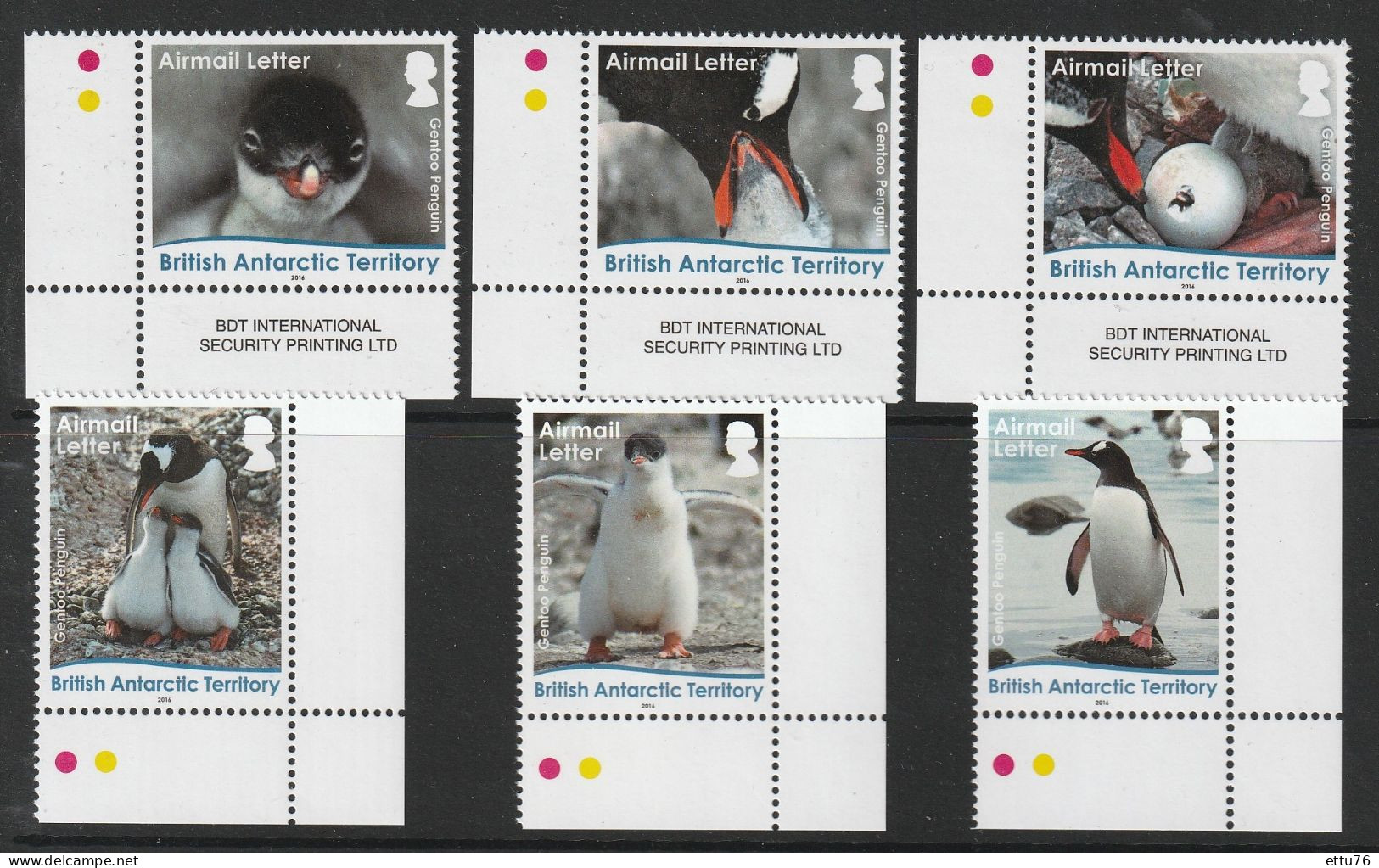 British Antarctic Territory  2016 Lifecycle Of Gentoo Penguins Set  MNH - Other & Unclassified