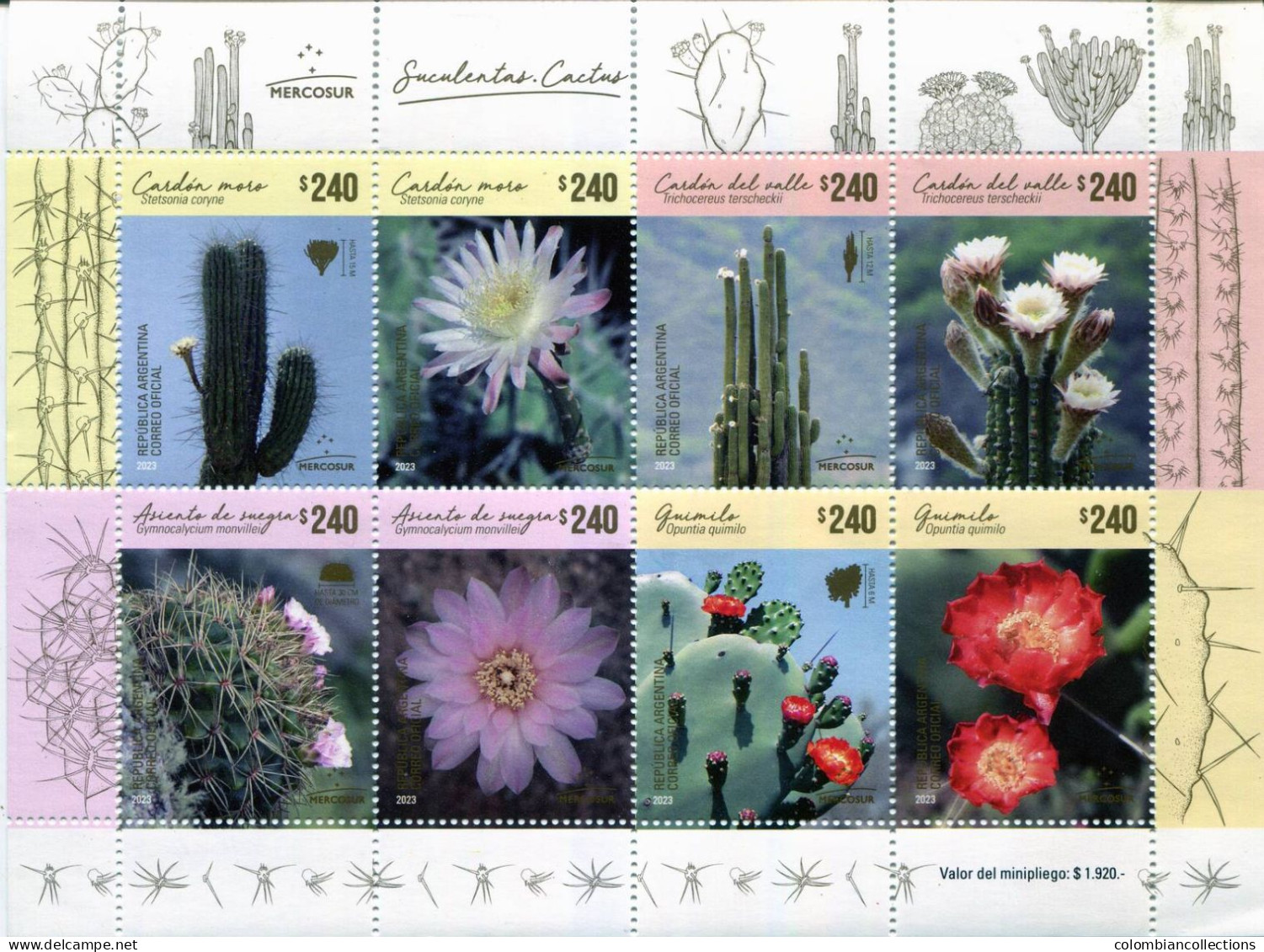 Lote A18, Argentina, 2022, Pliego, Sheet, Mersocur, Cactus, Flora - Nuevos
