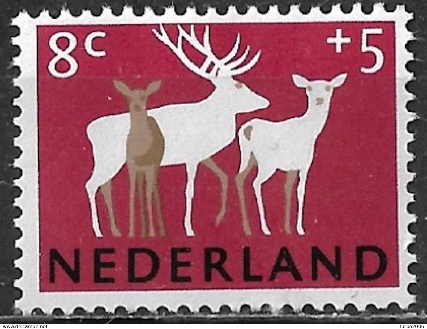 Bruine Punt Boven De Kop Van Het Kalf In 1963 Zomerzegels Dieren 8 + 5 Ct NVPH 813 Ongestempeld - Abarten Und Kuriositäten