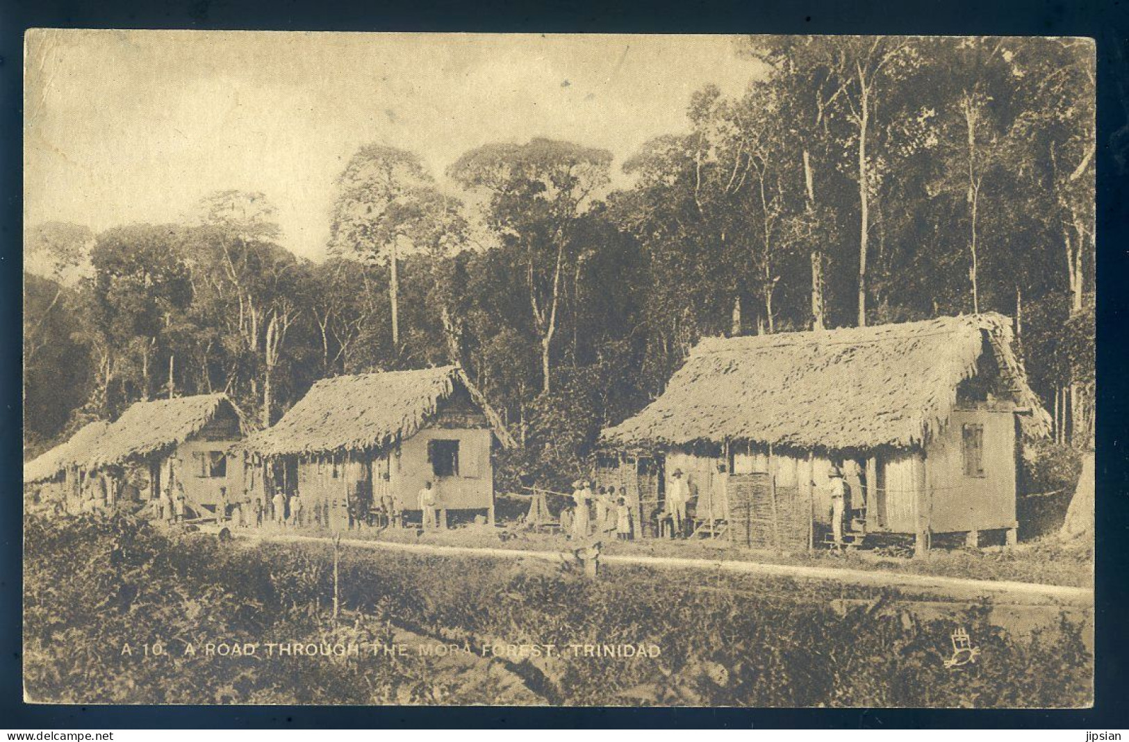 Cpa Des Antilles Trinidad -- A Road Through The Mora Forest   STEP9 - Trinidad