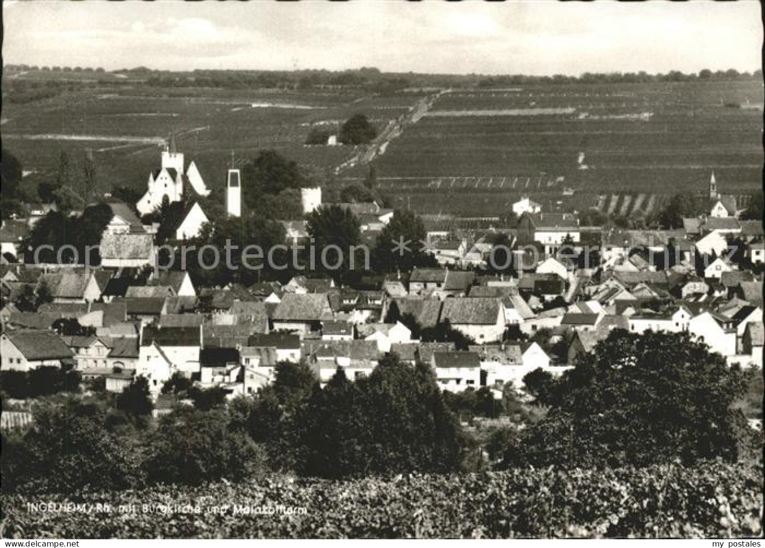 41593854 Ingelheim Rhein Gesamtansicht Ingelheim Am Rhein - Ingelheim