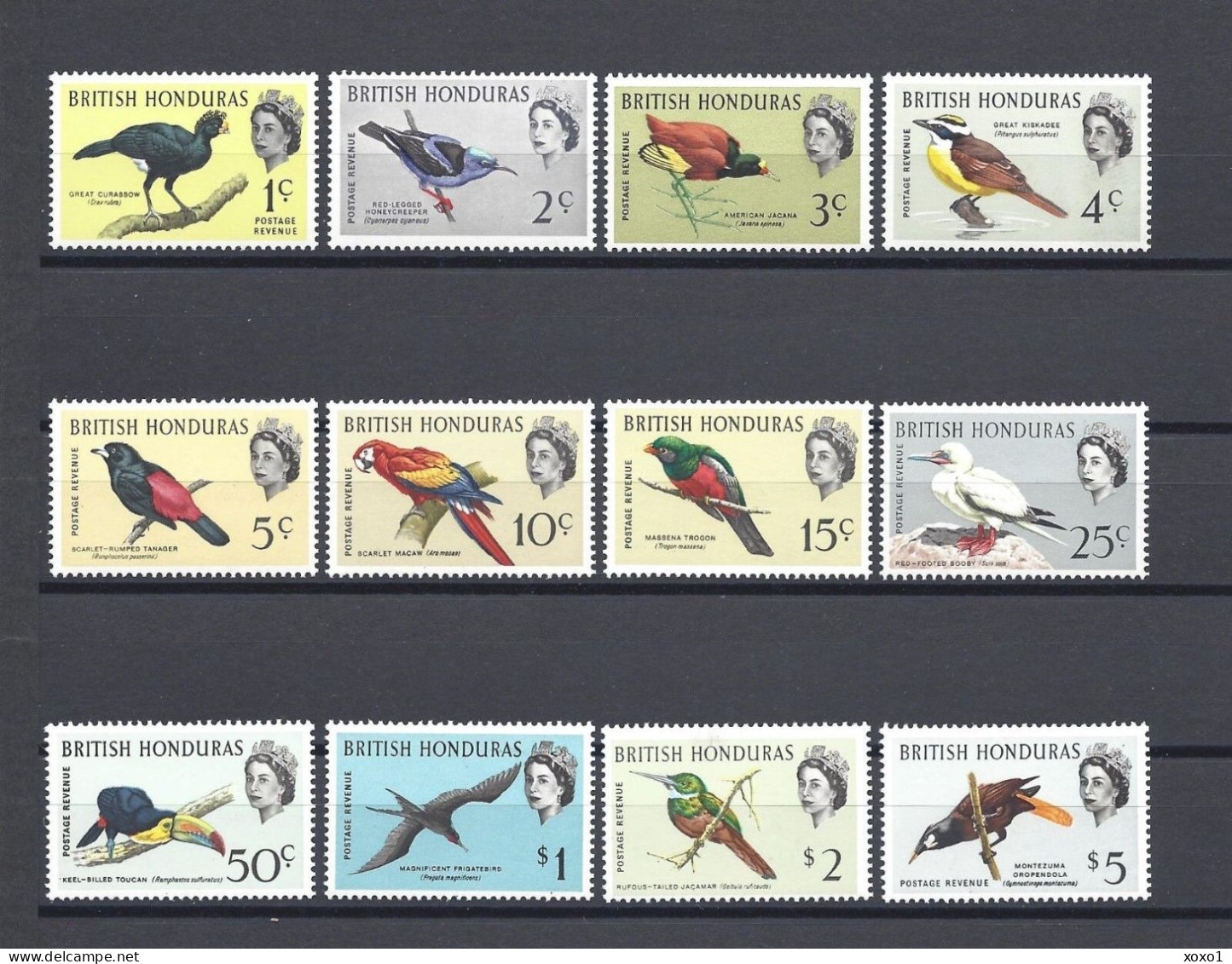 British Honduras 1962 MiNr. 164 - 175  Birds 12v MNH** 125,00 € - Honduras Britannico (...-1970)