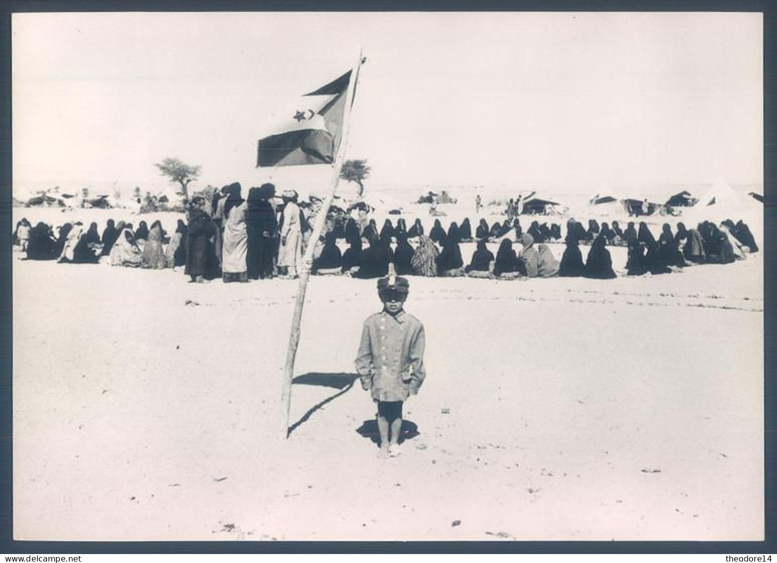 Sahara Occidental 1976 Front Polisario CPM - Westelijke Sahara