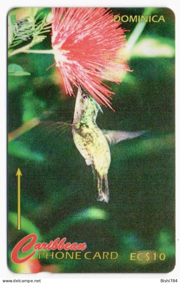 Dominica - Humming Bird - 230CDMB - Dominica