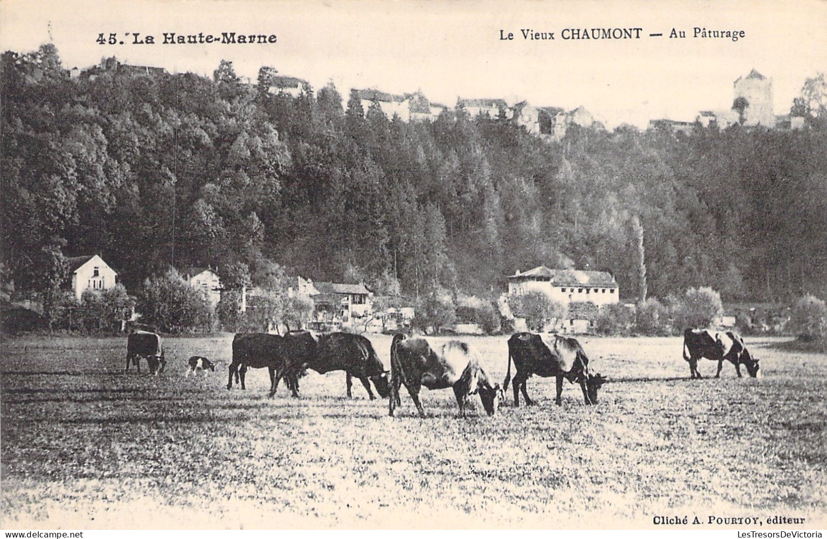 FRANCE - Le Vieux Chaumont - Au Paturage - Vaches - Carte Postale Ancienne - Other & Unclassified