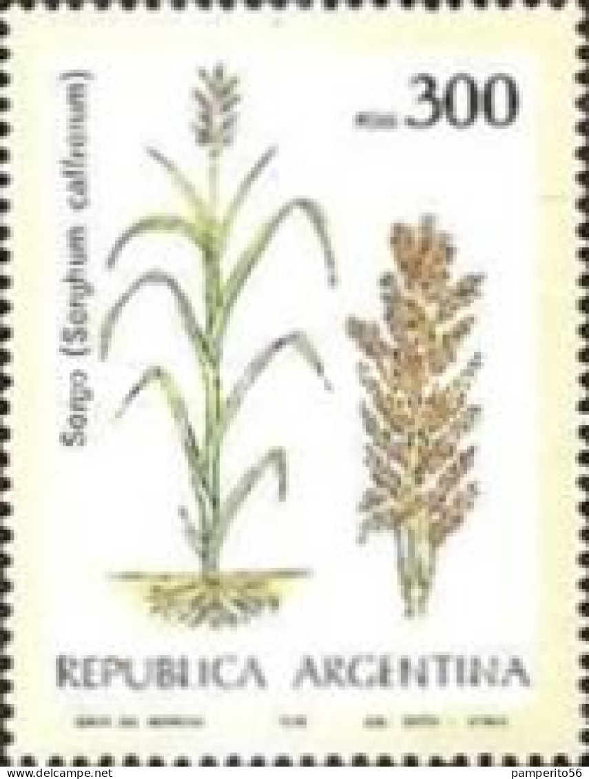 ARGENTINA - AÑO 1979 - Productos Agrícolas - Sorgo - Usadas - Oblitérés