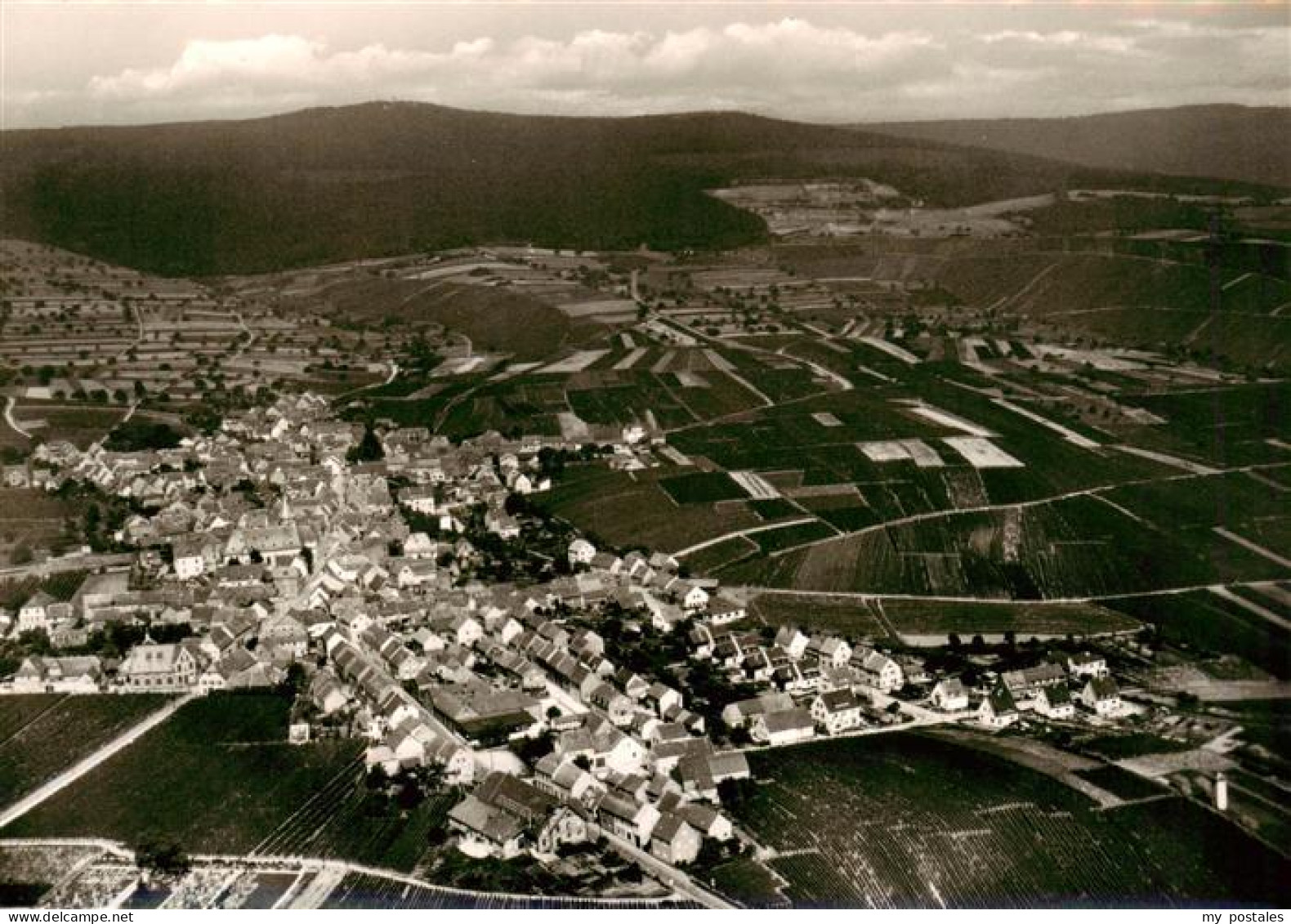 73868683 Hallgarten Rheingau Fliegeraufnahme Hallgarten Rheingau - Oestrich-Winkel