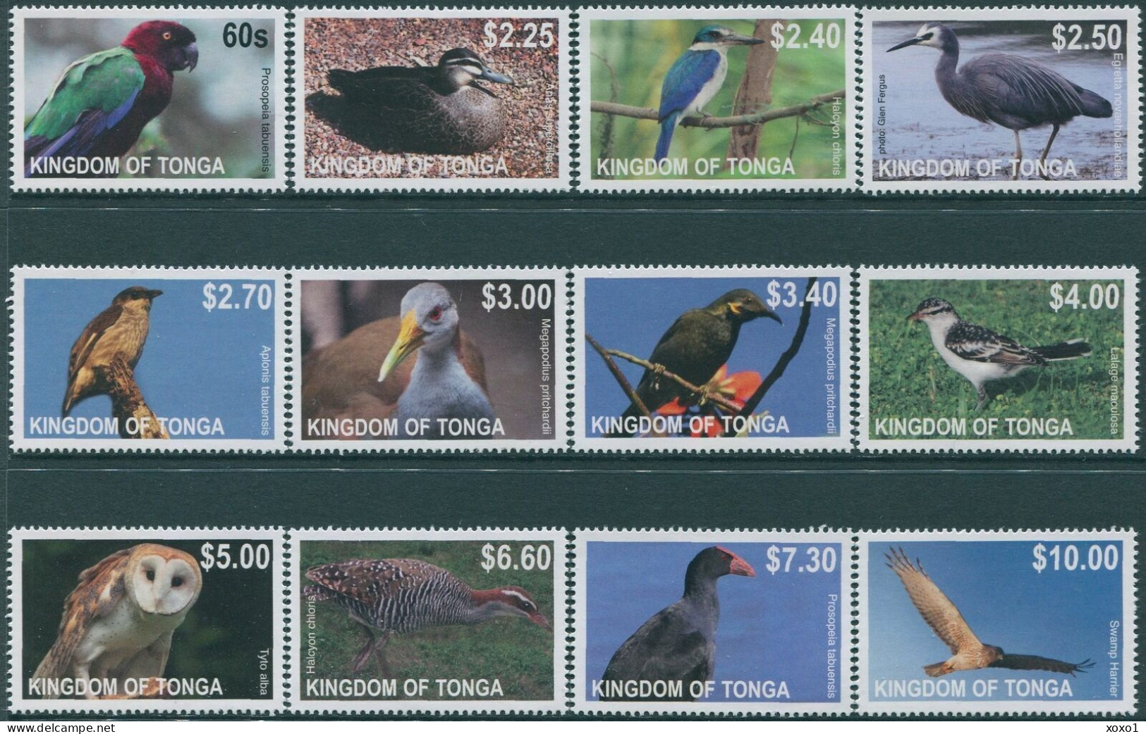 Tonga 2012 MiNr. 1742 - 1765 Birds 16v MNH**  60.00 € - Tonga (1970-...)