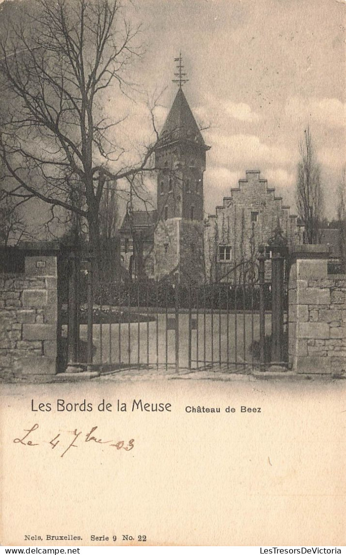 BELGIQUE - Namur - Les Bords De La Meuse - Vue Sur Le Château De Beez - Carte Postale Ancienne - Namur