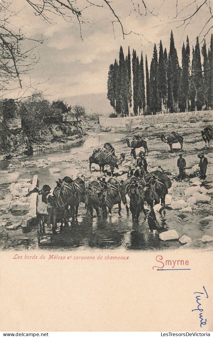 TURQUIE - Smyrne - Les Bords Du Méleze Et Caravane De Chameaux - Carte Postale Ancienne - Turquie