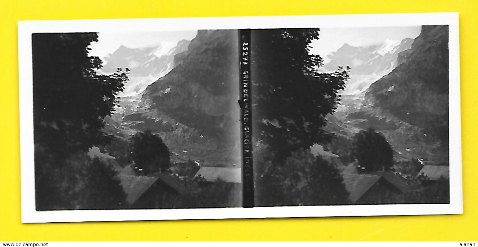 Vues Stéréos Grindelwald Glacier Inférieur - Stereo-Photographie