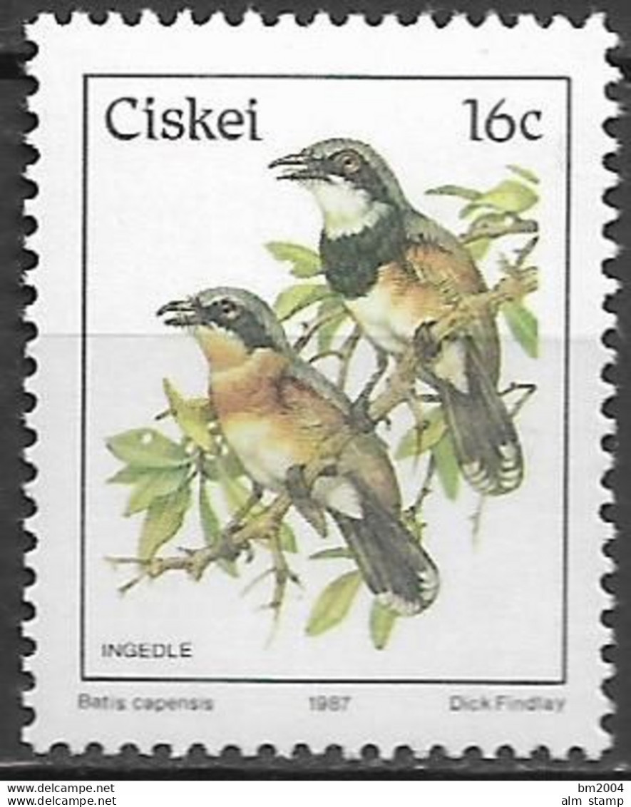 1987 Ciskei Mi. 114 **MNH Vögel  Kapschnäpper (Batis Capensis) - Ciskei