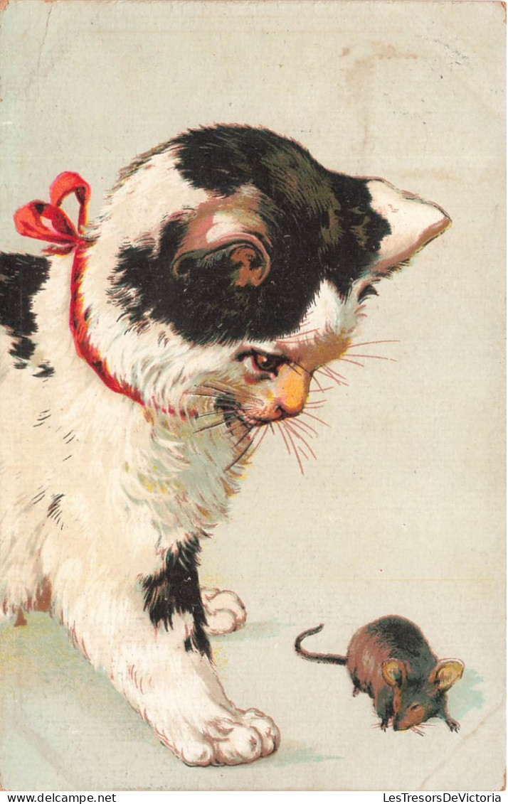 ANIMAUX - Chat - Souri - Chat Avec Un Ruban Rouge Autour Du Cou - Carte Postale Ancienne - Cats