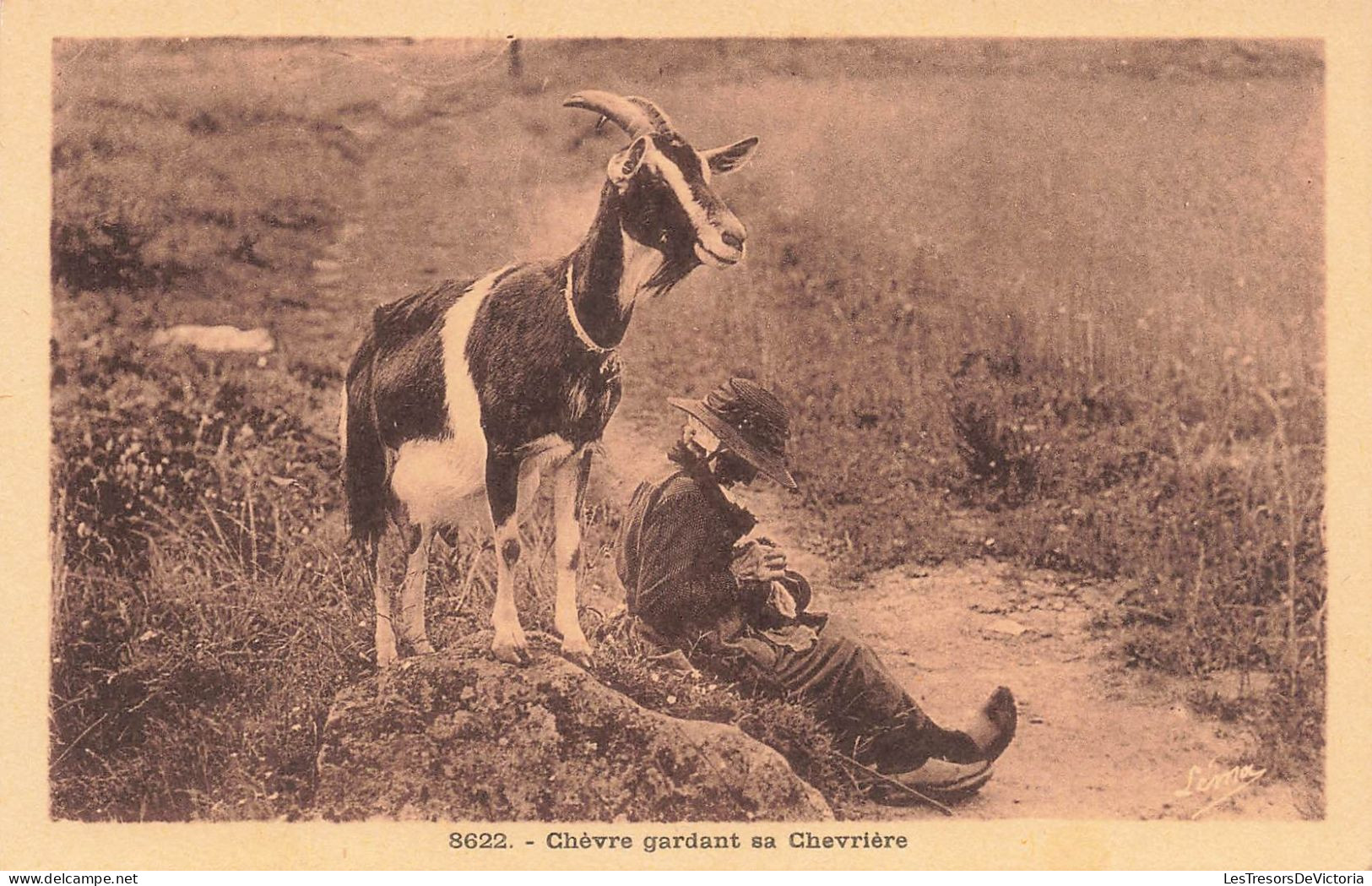 ANIMAL - Chèvre - Chèvre Gardant Sa Chevrière - Carte Postale Ancienne - Autres & Non Classés