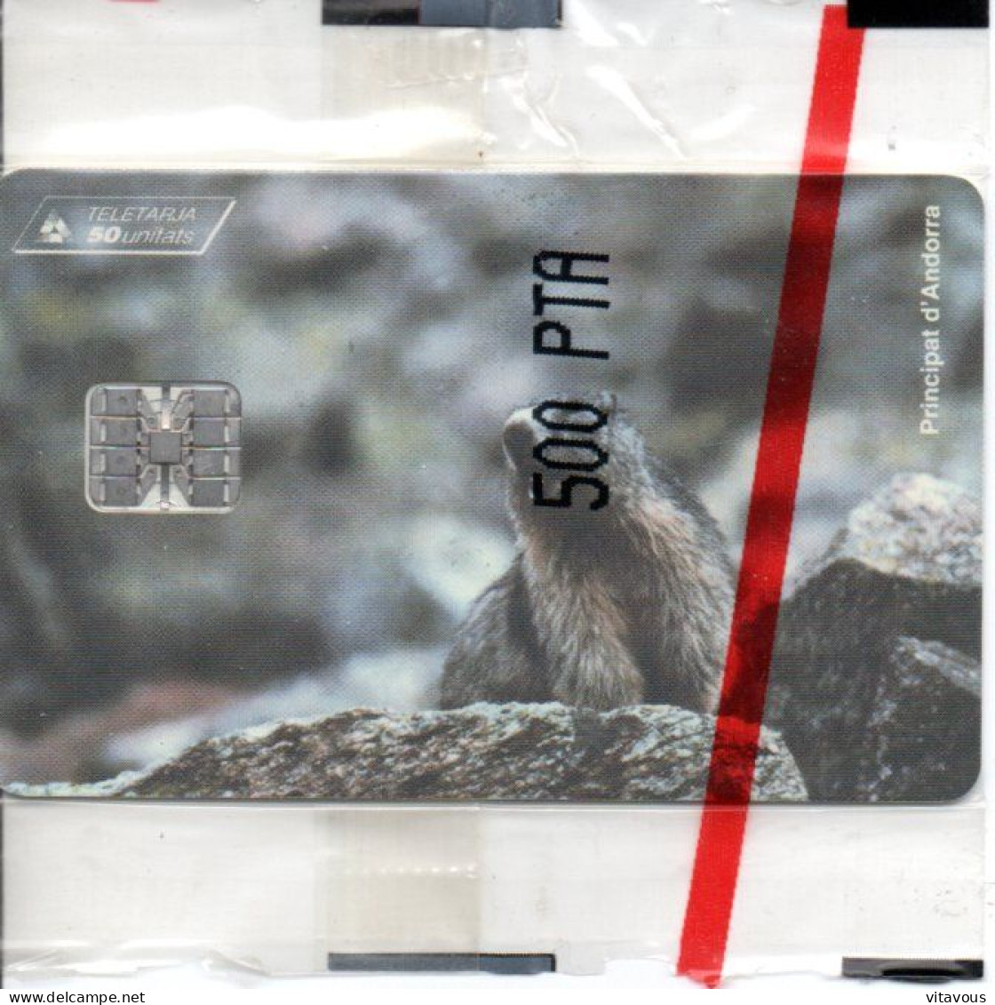 Marmotte  Animal  Télécarte Andorre AND 48 NSB Phonecard ( S 950) - Andorra