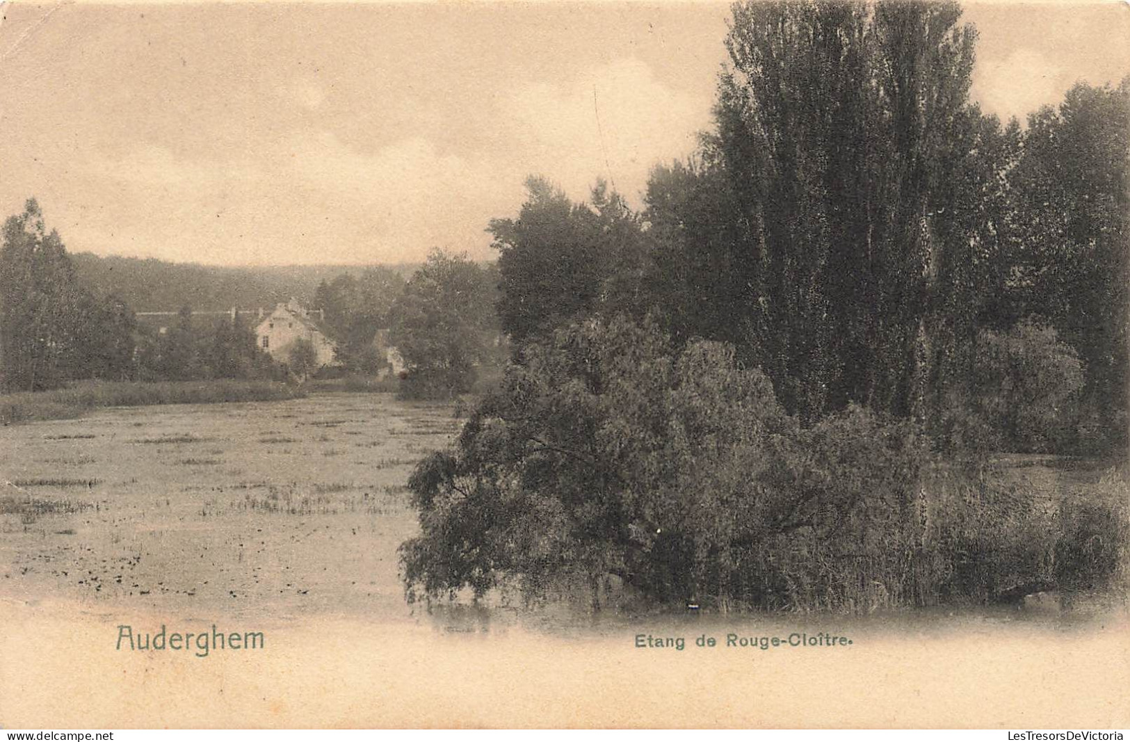 BELGIQUE - Bruxelles - Auderghem - Etang De Rouge Cloître - Carte Postale Ancienne - Oudergem - Auderghem