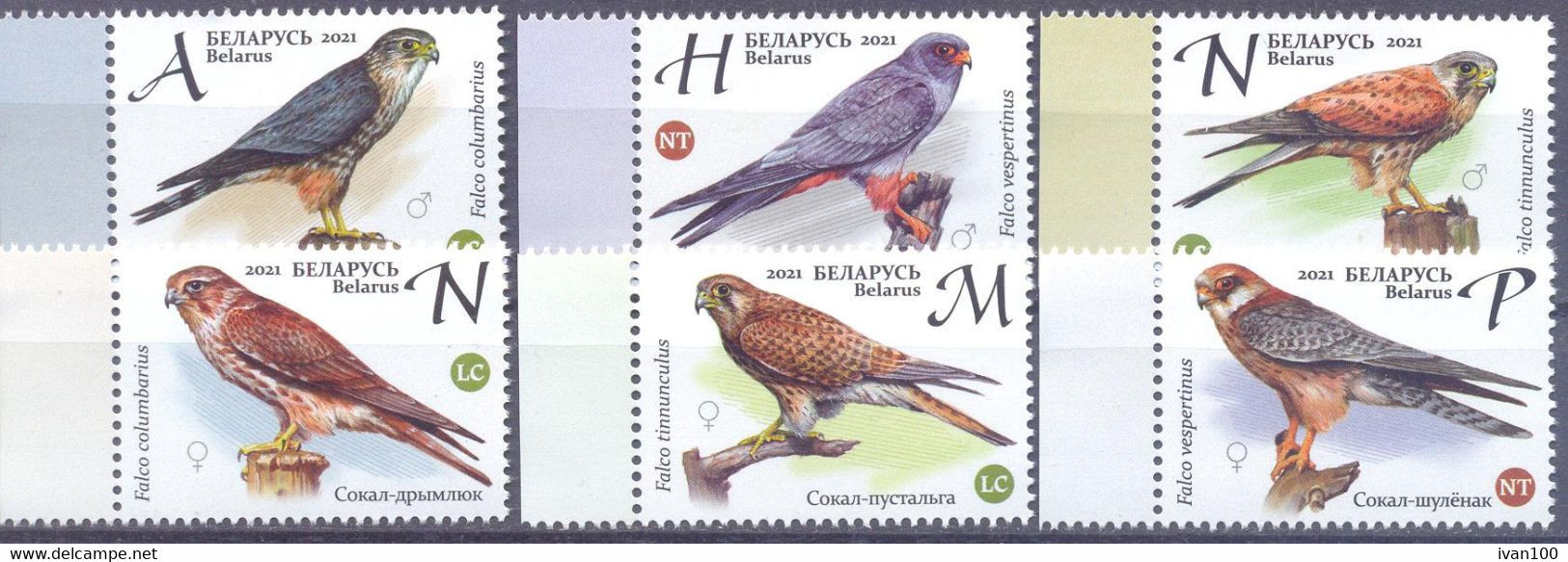 2021. Belarus, Birds Of Belarus, Falcons, 6v, Mint/** - Belarus
