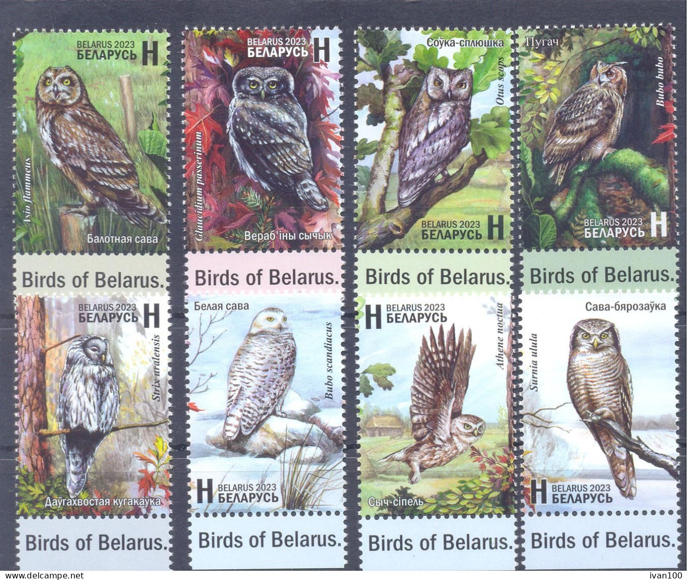2023. Belarus, Birds Of Belarus, Owls/Strigiformes, 8v, Mint/** - Wit-Rusland