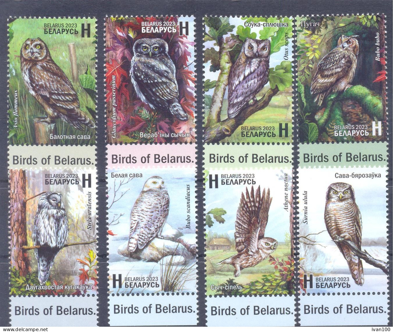 2023. Belarus, Birds Of Belarus, Owls/Strigiformes, 8v, Mint/** - Belarus