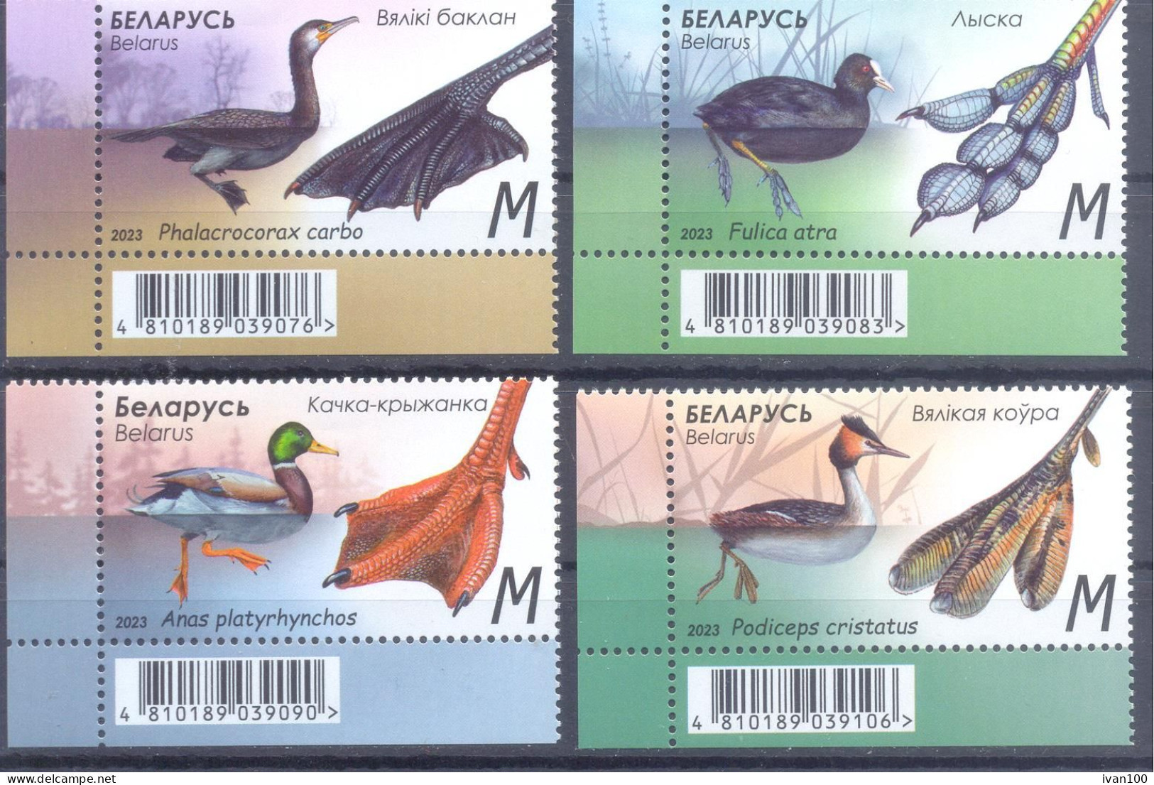 2023. Belarus, Fauna Of Belarus, Birds, Features Of Waterfowl, 4v, Mint/** - Bielorussia