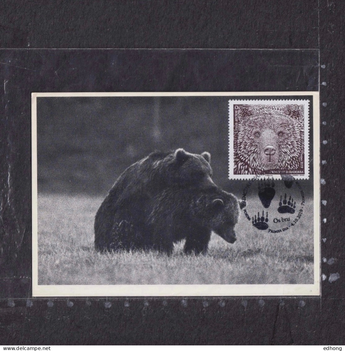 [Carte Maximum / Maximum Card /  Maximumkarte]  Andorra (FR) 2019 | Black Bear / Ursus Arctos - Cartes-Maximum (CM)