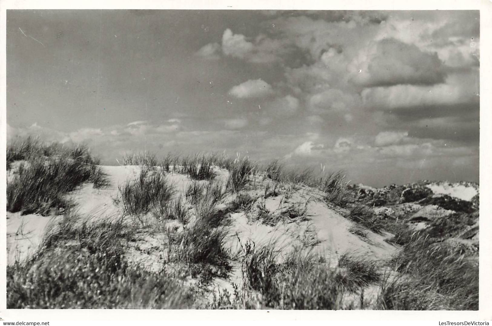 BELGIQUE - Blankenberge - Les Dunes - De Duinen - Carte Postale - Blankenberge