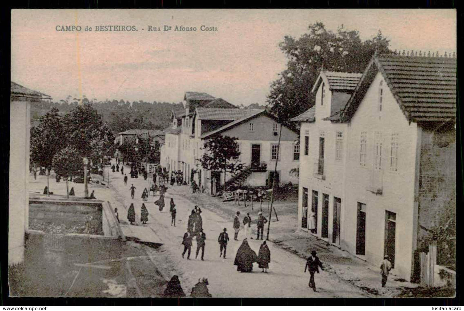 TONDELA - CAMPO DE BESTEIROS - Rua Dr. Afonso Costa.  Carte Postale - Viseu