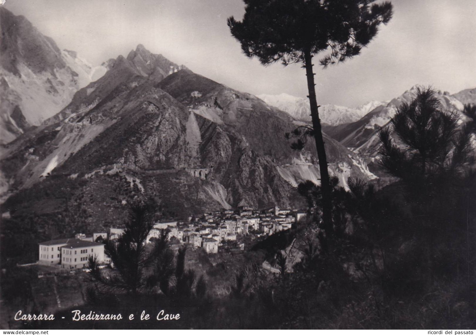 Cartolina Carrara - Bedizzano E Le Cave - Carrara