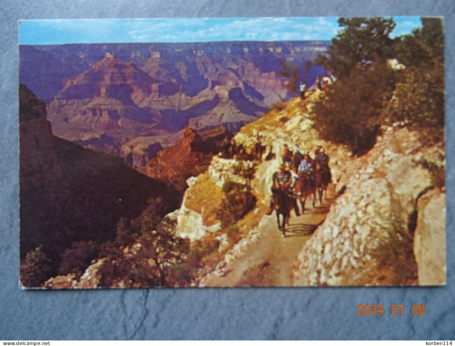 GRAND CANYON - Grand Canyon