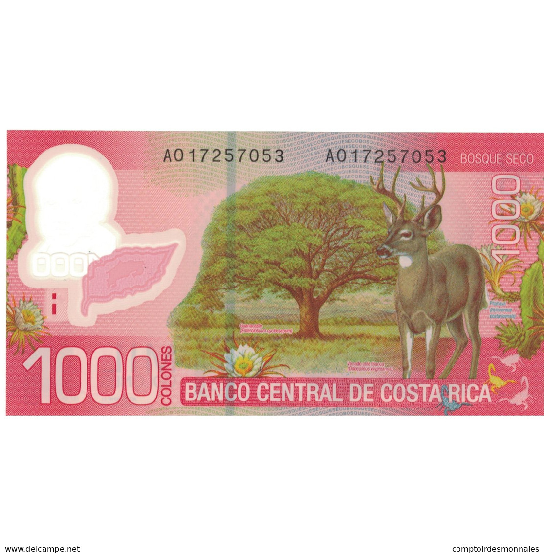 Billet, Costa Rica, 1000 Colones, 2009, 2009, KM:274, NEUF - Costa Rica