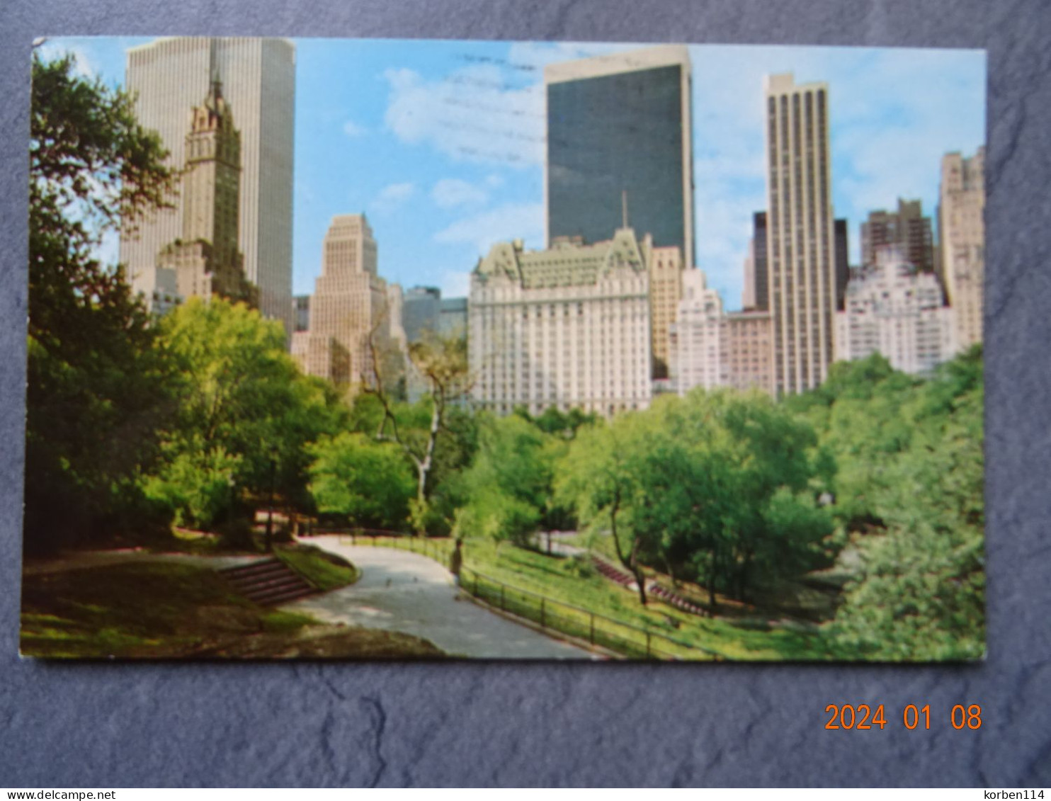 FIFTH AVENUE SKYLINE - Central Park