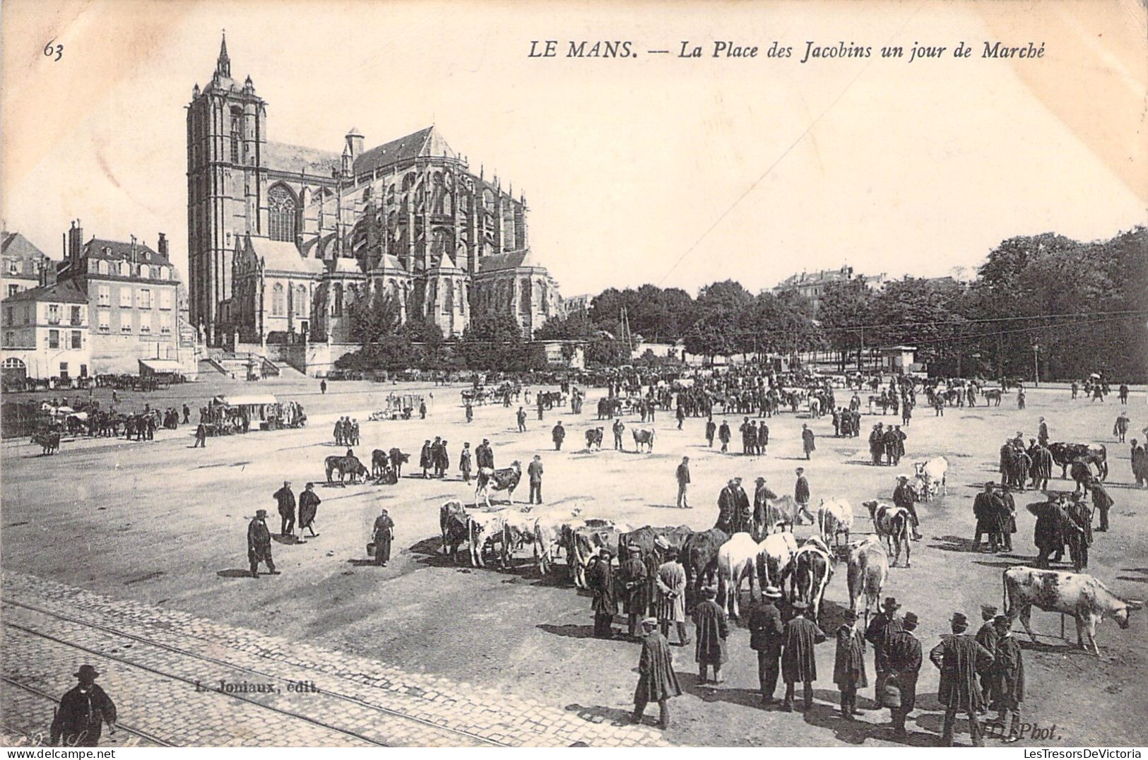 FRANCE - Le Mans - La Place Des Jacobins Un Jour De Marché - Animé - Carte Postale Ancienne - Le Mans