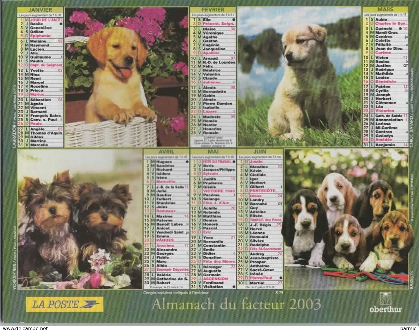CALENDRIER ANNEE 2003, COMPLET, MULTIVUE, CHIOTS CHATONS COULEUR  REF 13862 - Grossformat : 2001-...