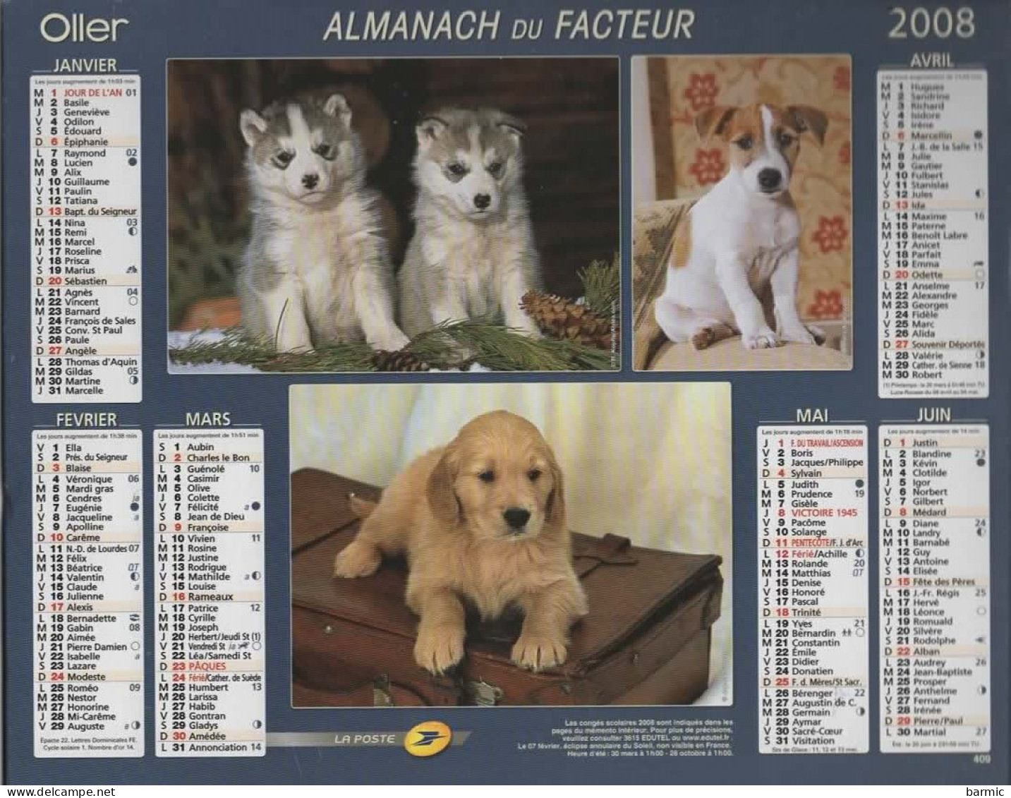 CALENDRIER ANNEE 2008, COMPLET, MUILTIVUE, CHIOTS COULEUR  REF 13867 - Grand Format : 2001-...