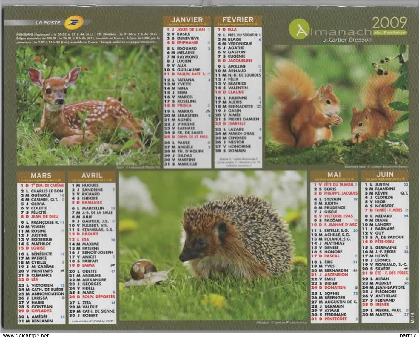 CALENDRIER ANNEE 2009, COMPLET, MUILTIVUE, ANIMAUX DE LA FORETS COULEUR  REF 13868 - Grand Format : 2001-...