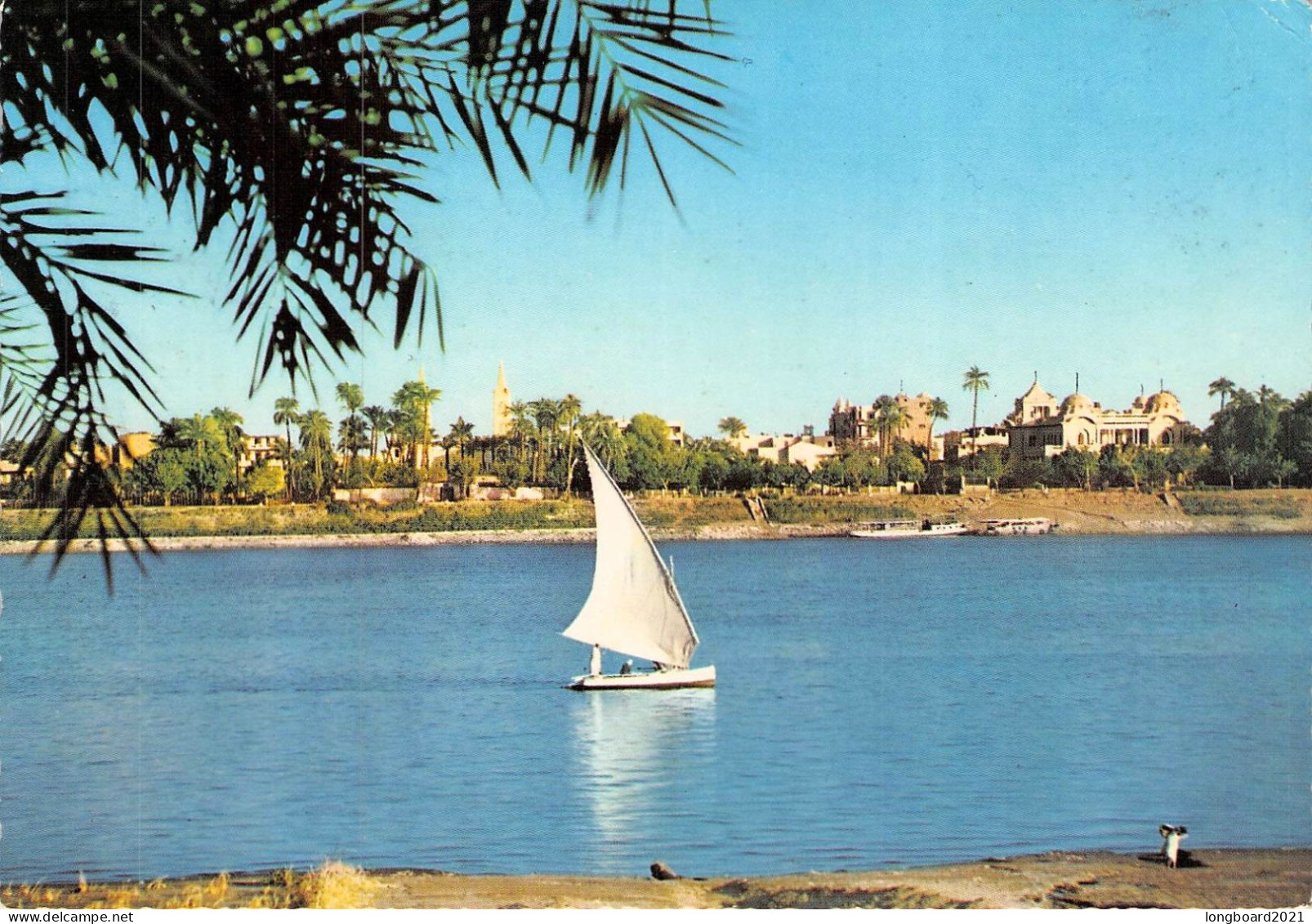 EGYPT - PICTURE POSTCARD - PFORZHEIM/DE / 750 - Briefe U. Dokumente