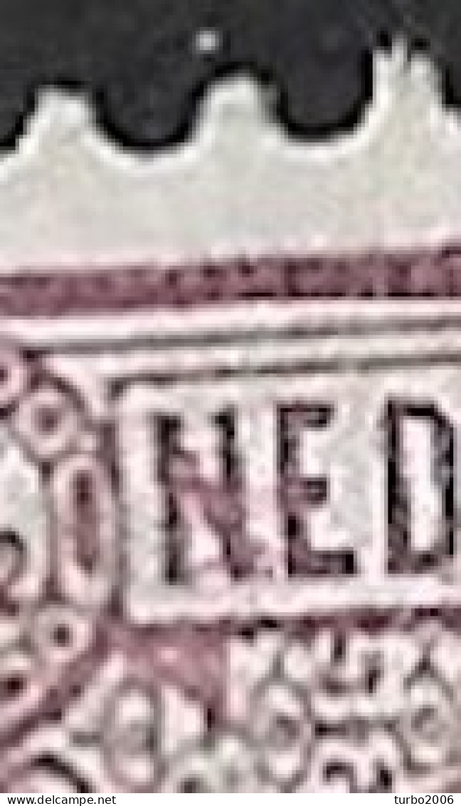 2 Puntjes In En 2 Naast De 1e N Van Nederland In 1876-1894 Cijfertype 2½ Cent Donkerlila NVPH 33 - Plaatfouten En Curiosa