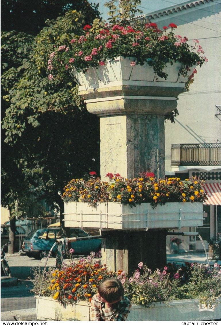 CPM LUC EN DIOIS (26 DROME) - LA FONTAINE FLEURIE - Luc-en-Diois