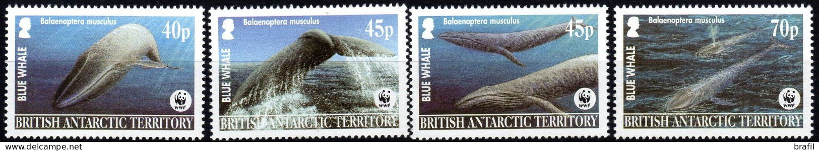 2003 Territorio Antartico Britannico, Balene, Serie Completa Nuova (**) - Unused Stamps